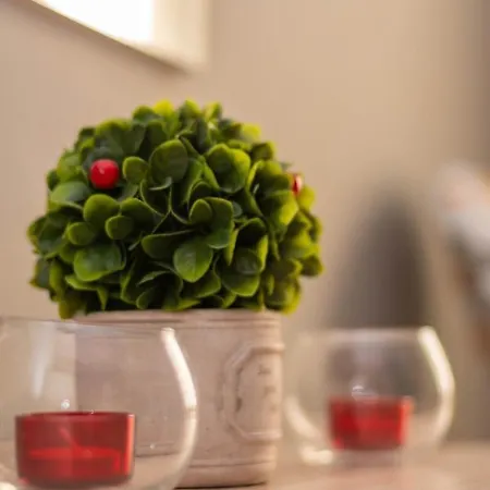 Koko's Nest By Corfuescapes Korfu